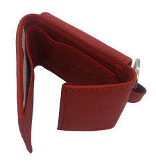 Geldbörse Swiss Ski (19749ID)